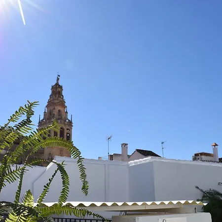 Cespedescinco Córdoba