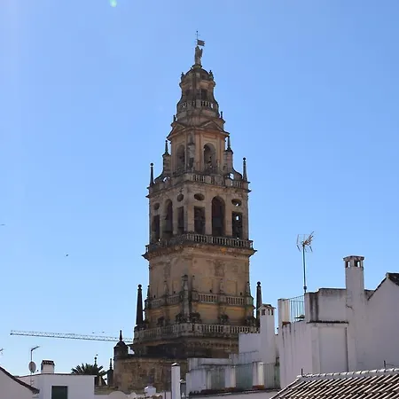 Cespedescinco Córdoba