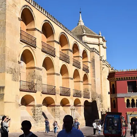 Cespedescinco Córdoba